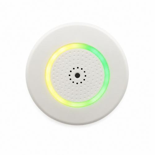 Security Microphone